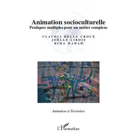 Animation socioculturelle