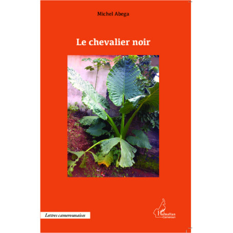 Le chevalier noir