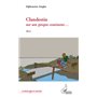 Clandestin sur son propre continent...