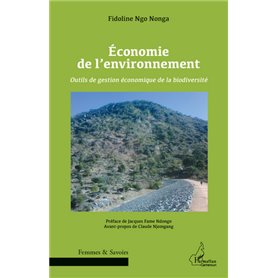 Economie de l'environnement