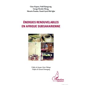 Energies renouvelables en Afrique subsaharienne