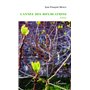 L'année des bifurcations