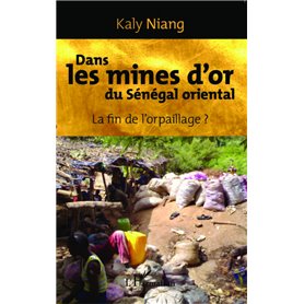 Dans les mines d'or du Sénégal oriental