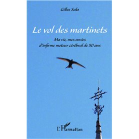 Le vol des martinets