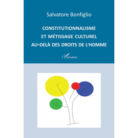 Constitutionnalisme et métissage culturel au-delà des droits de l'Homme