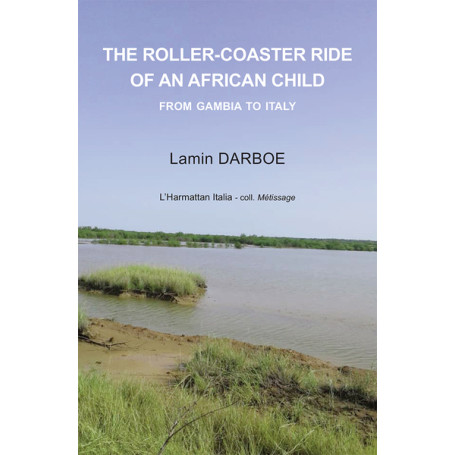 The roller-coaster ride of an African child