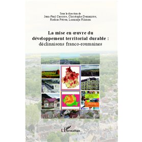 La mise en oeuvre du développement territorial durable :