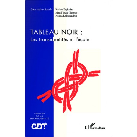 Tableau noir : Les transidentités et l'école