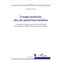 Quelle Afrique pour les jeunes ?