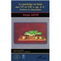 Le participe en latin aux VIe et VIIe s. ap. J-C.