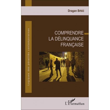 Comprendre la délinquance française