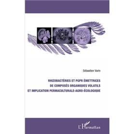 Rhizobactéries et PGPR émettrices de composés organiques volatils et implication permaculturale-agro-écologique