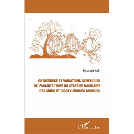 Ontogénèse et variations génétiques de l'architecture du système racinaire des mono et dicotylédones modèles