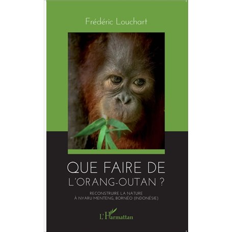 Que faire de l'orang-outan ?