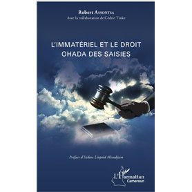 L'immatériel et le droit OHADA des saisies
