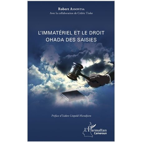 L'immatériel et le droit OHADA des saisies