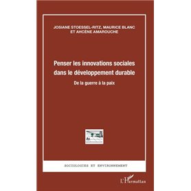 Penser les innovations sociales dans le développement durable