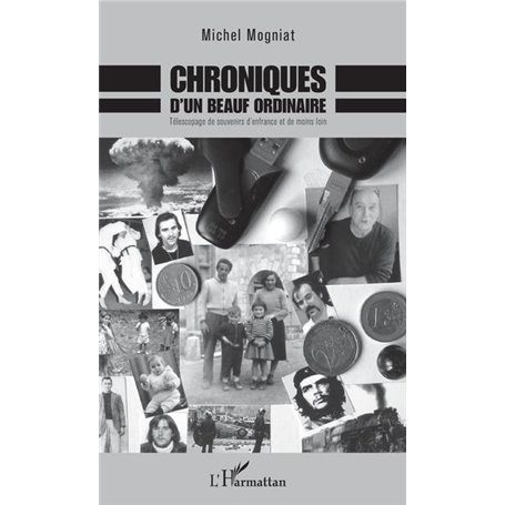 Chroniques d'un beauf ordinaire