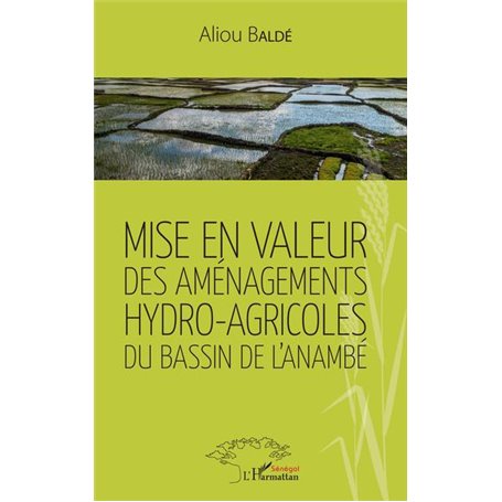 Mise en valeur des aménagements hydro-agricoles du bassin de l'Anambé