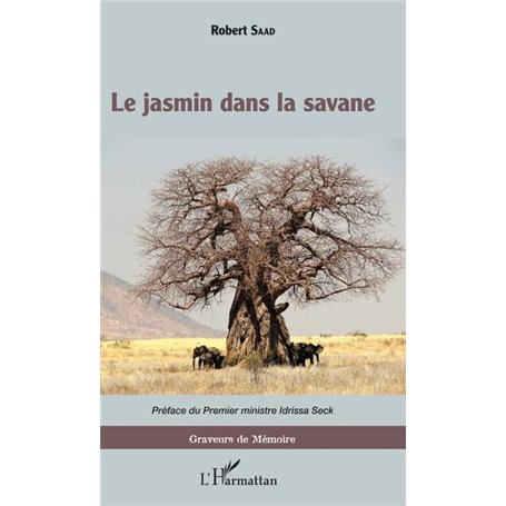 Le jasmin dans la savane