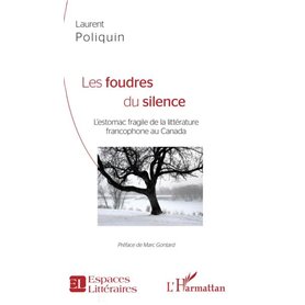 Les Foudres du silence