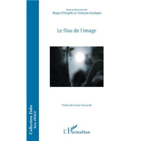 Le flou de l'image