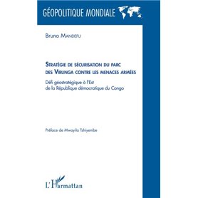 Stratégie de sécurisation du parc des Virunga contre les menaces armées