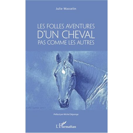 Les Folles aventures d'un cheval pas comme les autres