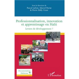 Professionnalisation, innovation et apprentissage en Haïti