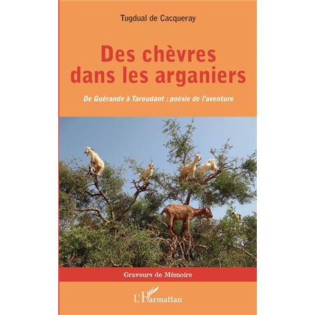 Des chèvres dans les arganiers