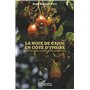 La noix de cajou en Côte d'Ivoire