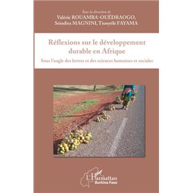 Réflexions sur le développement durable en Afrique