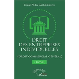 Droit des entreprises individuelles (Droit commercial général) 2ème édition