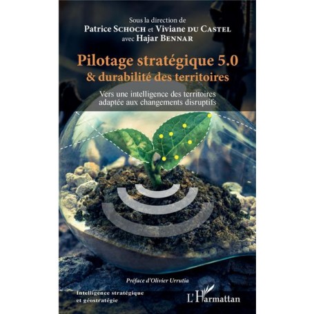 Pilotage stratégique 5.0 et durabilité des territoires