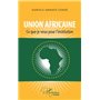 Union africaine. Ce que je veux pour l'institution