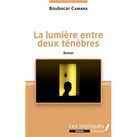 La lumière entre deux ténèbres. Roman