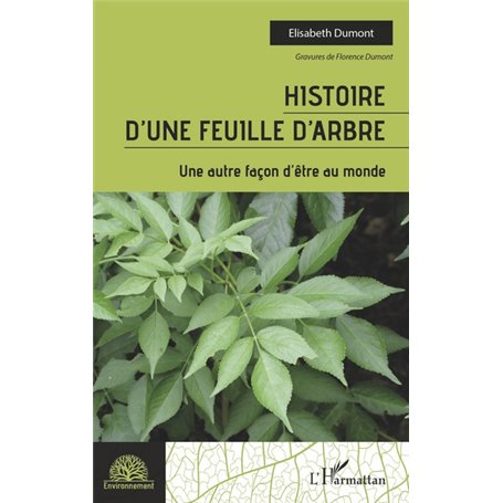 Histoire d'une feuille d'arbre