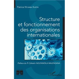 Structure et fonctionnement des organisations internationales