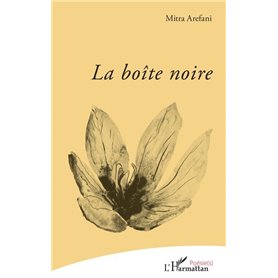 La boîte noire