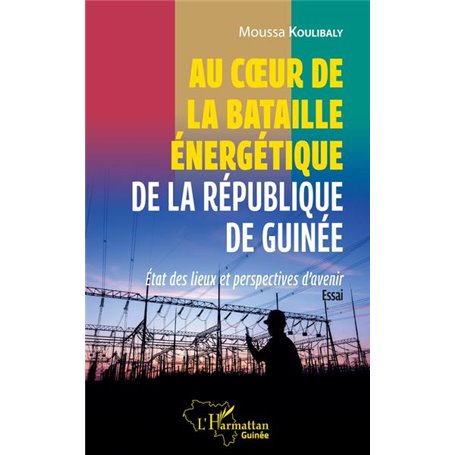 Au coeur de la bataille énergétique de la République de Guinée