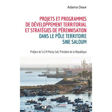 Projets et programmes de développement territorial et stratégies de pérennisation