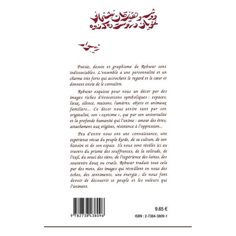 La coopération arabo-africaine