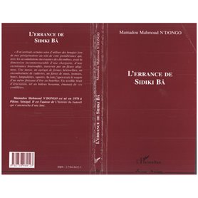 L'Errance de Sidiki Bâ