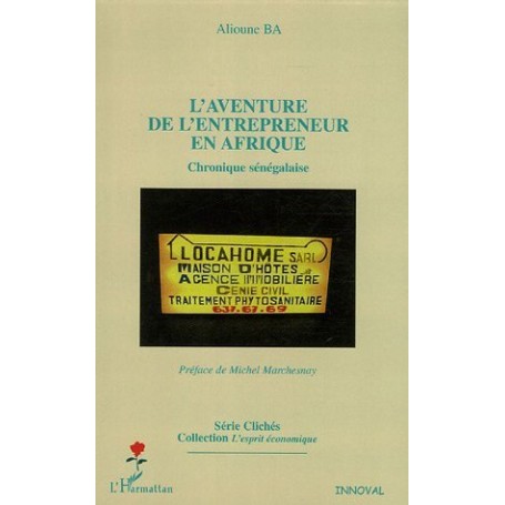 L'aventure de l'entrepreneur en Afrique