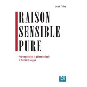 Raison sensible pure