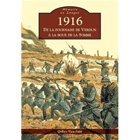 1916 - De la fournaise de Verdun à la boue de la Somme