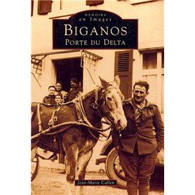 Biganos