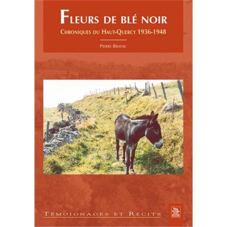 Fleurs de blé noir