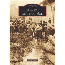 Toul-Sud (Le canton de)