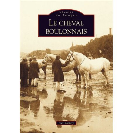 Cheval boulonnais (Le)